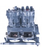 Ricambi motore per moto d'acqua jet ski 2 tempi- H2oracing.it